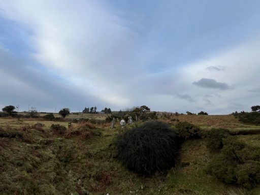 Moorland Walks 